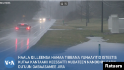 Qilleensa Qorraa Cimaa Amerikaa Keessatti Mudateen Yoo Xiqqaate Namoonni 9 Du'uun Gabaasame