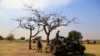 Ethiopia: Chính phủ Nam Sudan, phiến quân sẽ thương thuyết