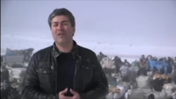 قیمت نان بیشتر از قیمت زندگی؛ روایت علی جوانمردی از شرایط سخت کولبران مرز عراق و ایران