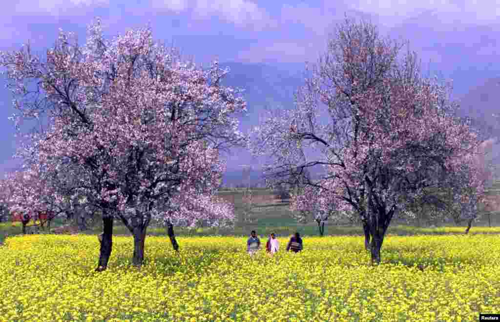 موسم بہار کی رُت