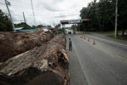 FILE - A truck transporting cut trees sits parked for inspection at a government checkpoint for environmental control, customs and migration in Chepo, Panama, Oct. 7, 2019.