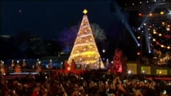美国总统川普和第一夫人点亮国家圣诞树