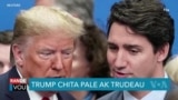 Trump Chita Pale ak Trudeau