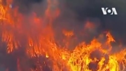 Пожары в Калифорнии