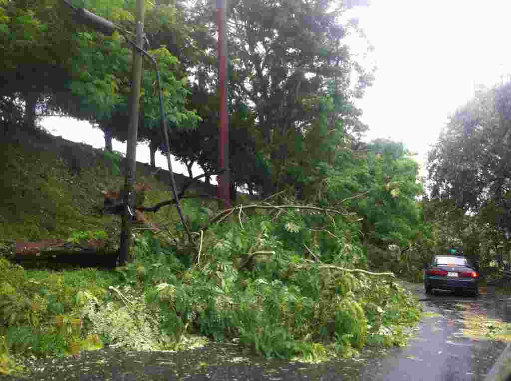 Imágenes de la situación en Puerto Rico tras el paso del huracán Irene.