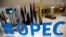 지난 9월 알제리에서 석유수출국기구 OPEC 회원국들의 회의가 열렸다. 