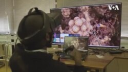 Virtual Reality Helping Students ...