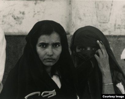 Toshakda yotgan jojalarning fotosuratlari