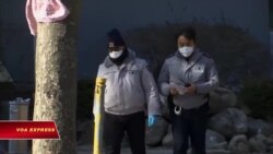 Norovirus hoành hành Olympic PyeongChang