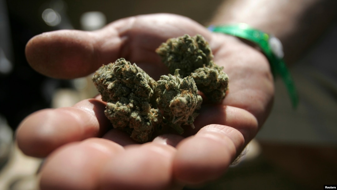 En Colorado las autoridades dicen que las ventas de marihuana aportarán este año $134 millones en ingresos tributarios al estado.