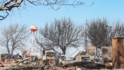  Se confirma la primera víctima fatal en los incendios forestales de Texas

