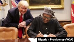 Shugaba Buhari (a zaune) yayin wata ziyara da ya kai wa tsohon shugaban Amurka Trump (tsaye).