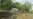 Soil Doctor Offers Healthy Advice for Smallholder Farmers