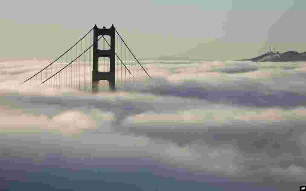 Fog blankets the south tower of the Golden Gate Bridge in San Francisco, California.