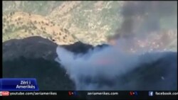 Zjarret dhe mbrojtja e natyrës