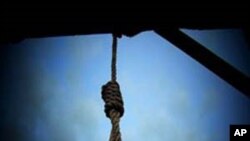 پانۆراما: هه‌ڵمه‌ته‌کان بۆ ڕاگرتنی سزای له‌ سێداره‌دان