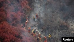 Un equipo interno de presos, vestidos de naranja, trabajan junto al cuerpo de bomberos en un incnedio forestal en Santa Barbara, California.