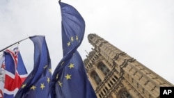 Bendera para pengunjuk rasa Anti Brexit di depan parlemen Inggris di London, 13 Oktober 2019. (AP Photo/Frank Augstein)