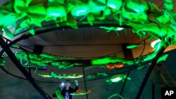 Jake Adams, Senior Preparator in the Exhibition Department of the American Museum of Natural History, in New York, assembles "fishnado," a part of the museum's upcoming "Unseen Oceans" exhibition, Feb. 15, 2018.