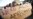 Social Media Helps Alert Zimbabweans on Xenophobic Attacks