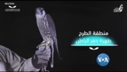 ဒေါ်လာတသိန်းခွဲကျော်တန်တဲ့စွန်ရဲ ၊ စက်ရုပ်လင်းပိုင်