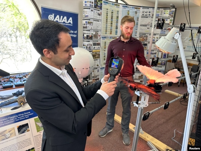 Dr. Mostafa Hassanalian, a mechanical engineering professor and Ph.D student, Brenden Herkenhoff, analyse a heat map on a taxidermy bird drone at New Mexico Institute of Mining and Technology in Socorro, New Mexico, U.S. on March 22, 2023. (REUTERS/Liliana Salgado)