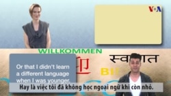 Ngữ pháp Thông dụng: Thể điều kiện không có thật trong quá khứ (VOA)