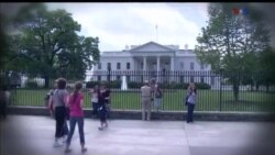 اخبار شامگاهی