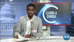 Caawa iyo Dunida