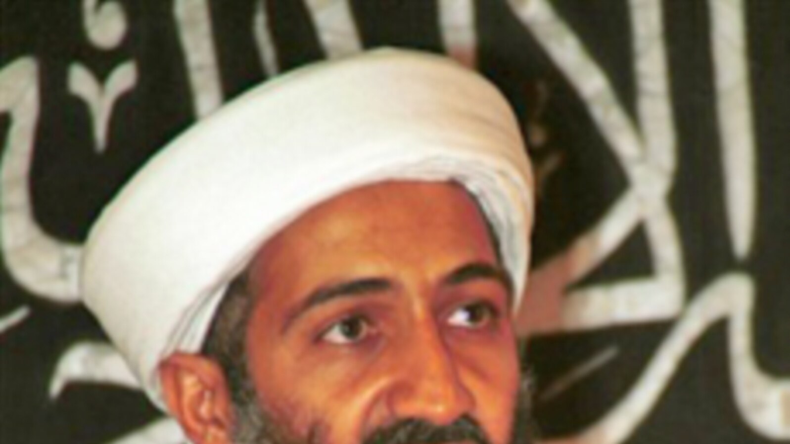 Osama bin Laden Was Target of Perhaps Largest Manhunt in US History