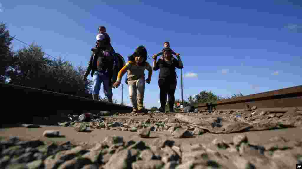 Quelques migrants traversent la frontière entre la Serbie et la Hongrie près de Roszke.