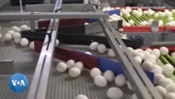 Aux États-Unis, la grippe aviaire fait grimper le prix des œufs