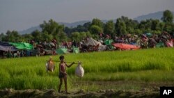 Seorang anak laki-laki Muslim Rohingya yang baru tiba di Bangladesh, Selasa (17/10).