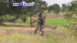 VOA60 AFRIKA: A Najeriya, Manoma Da Dama Suna Tserewa Rikici A Arewa Ta Tsakiya Kai Kasar Noma Mai Kyau Saboda Tashe-tashen Hankula