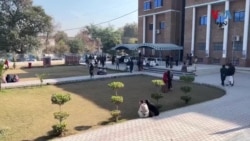 د پښتونخوا په تعليمي ادارو کې د نشه يي توکيو ضد کمپېن پيل شوی