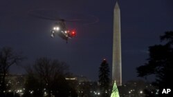 Obama National Christmas Tree