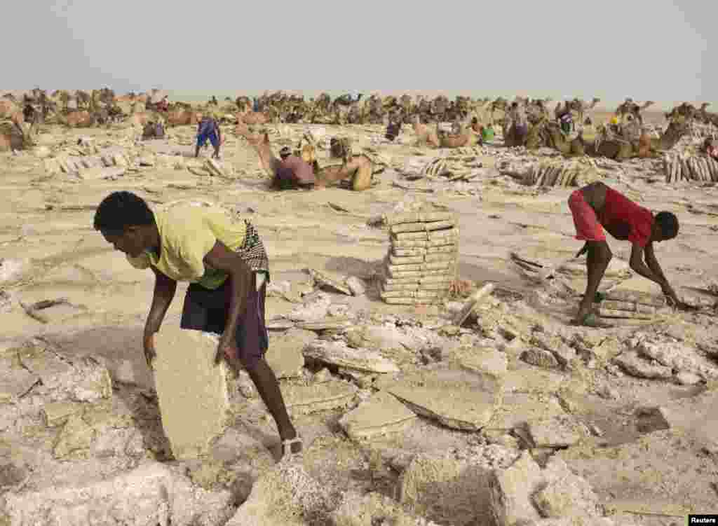 کرہ ارض پر گرم و سخت ترین آب و ہوا رکھنے والے صحراؤں میں سے ایتھوپیا کا دانکل صدیوں سے نمک کے تاجروں کی توجہ کا مرکز رہا ہے۔