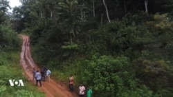 L'exploitation de la forêt d'Ebo fait toujours polémique entre Camerounais