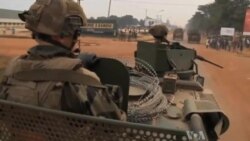 French Interventions Leave British Lamenting Loss Of ‘Courageous Instinct’