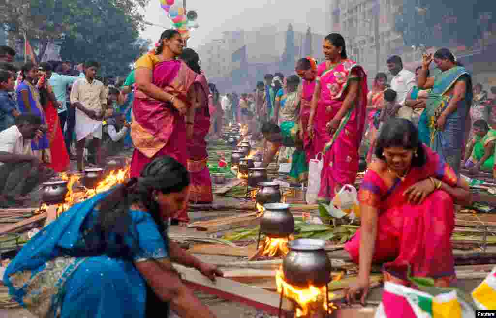 Devotees prepare rice dishes to offer the Hindu Sun God as they attend Pongal celebrations early morning in Mumbai, India, Jan. 14, 2017.