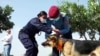 Nepal Police Give Medals, Garlands to Dogs at Canine Festival