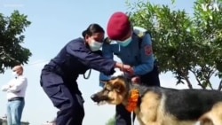 Nepal Police Give Medals, Garlands to Dogs at Canine Festival