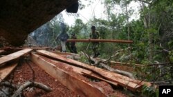 Para petugas menyita kayu yang diperoleh dari pembalakan liar di pegunungan Seulawah, Aceh. (Foto: Dok)