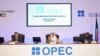 지난달 26일 쿠웨이트에서 열린 석유수출국기구(OPEC) 외교장관 회의에서 알리 알-오마이르 쿠웨이트 석유장관이 개막 연설을 하고 있다.