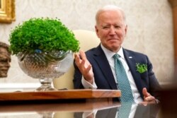 President Joe Biden sits next to a bowl of shamrocks as he has a virtual meeting with Ireland's Prime Minister Micheal Martin on St. Patrick's Day, in the Oval Office of the White House, March 17, 2021, in Washington.