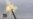 Questions Remain Concerning No-Fly Zone Over Libya