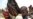 More Children Surviving in Africa, But Some Populations Lag