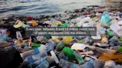 Protecting Oceans From Plastic Pollution