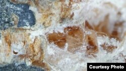 Parisite-(La) is one of the new carbon-bearing minerals that was predicted before it was found. (Photo courtesy of rruff.info, donated by Dr. Luiz Menezes)