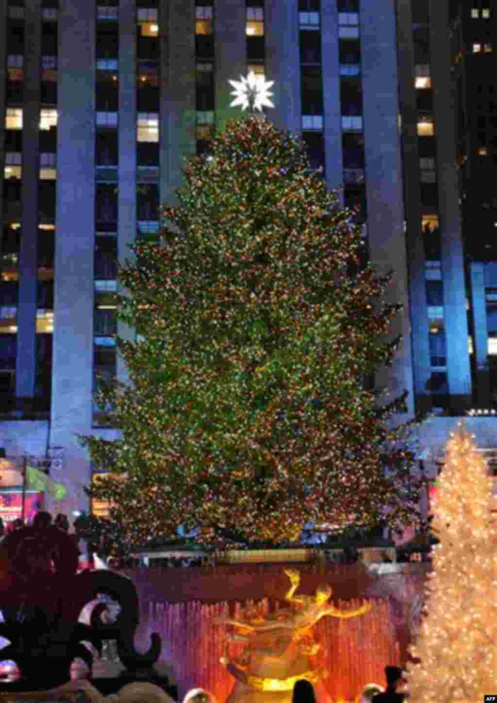 The 74-foot-tall Rockefeller Center Christmas Tree is lit using 30,000 energy efficient LED lights in the 79th annual lighting ceremony, Wednesday, Nov. 30, 2011 in New York. (AP Photo/Henny Ray Abrams)